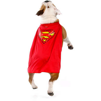 Fantasia Sula Pet Capa Super Homem
