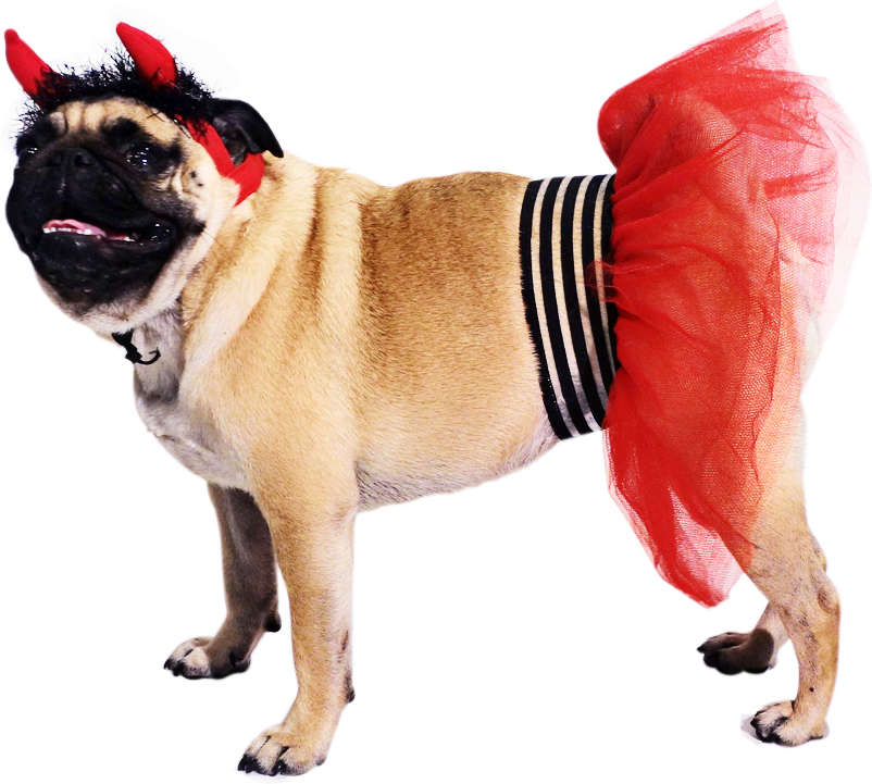 Fantasia Petlove Diabinho Fêmea para Cães - Tam. G
