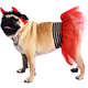 Fantasia Futon Dog Diabinho Fêmea para Cães