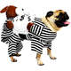 Fantasia Futon Dog Dupla de Ladrão