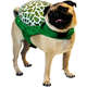 Fantasia Futon Dog de Tartaruga