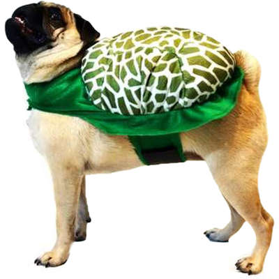 Fantasia Futon Dog de Tartaruga