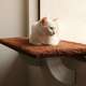 Prateleira Gatton SpaceCat Júpiter para Gatos