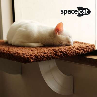 Prateleira Gatton SpaceCat Júpiter para Gatos