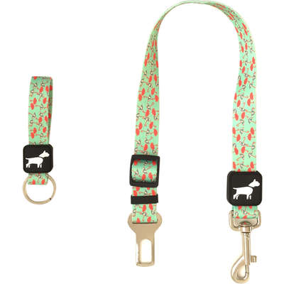 “Cinto de Segurança + Chaveiro DonDog Terra da Garoa para Cães