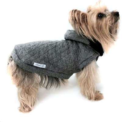 Blusa com Capuz Fábrica Pet Versalles Cinza