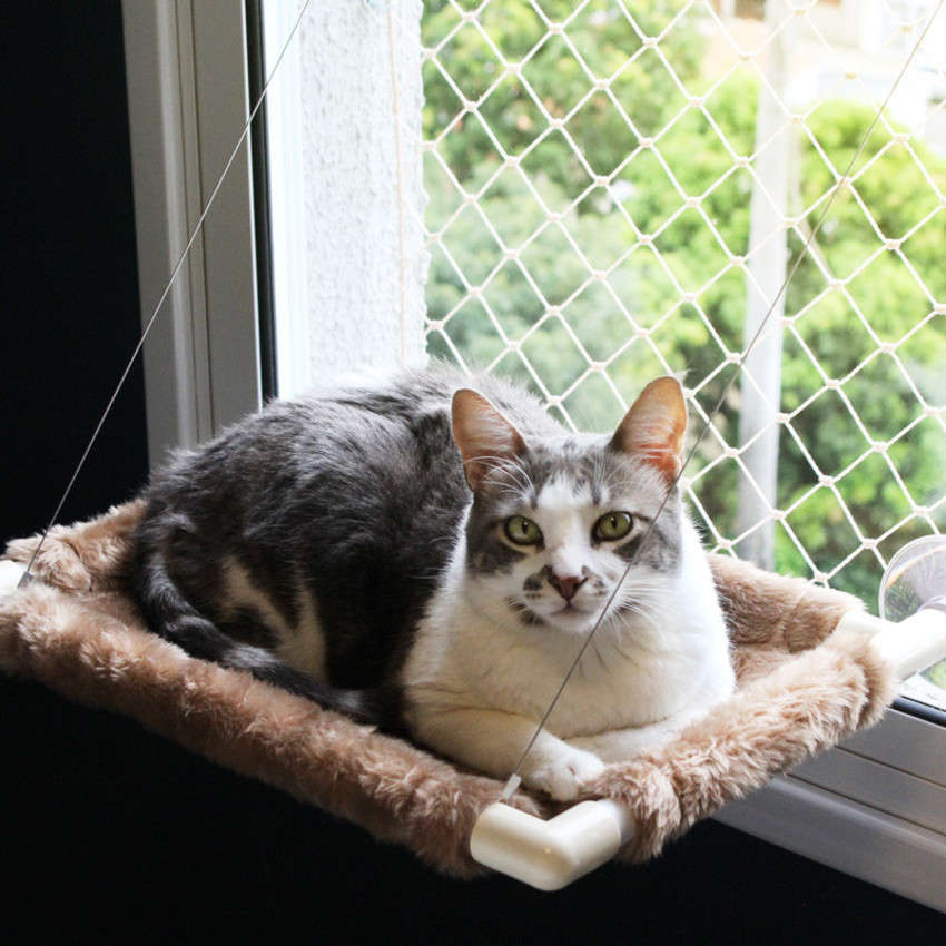 Cama de Janela Gatton Catbed Pelúcia Areia para Gatos - King