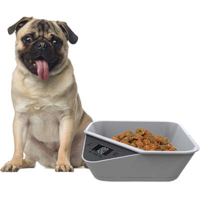 Comedouro Pet&Go com Balança de Precisão e Tigela Removivel para Cães
