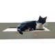 Prateleira Hello Pet com Carpete para Gatos