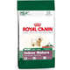 Ração Royal Canin Mini Indoor Mature