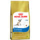 Ração Royal Canin para Gatos Adultos da Raça Siamês