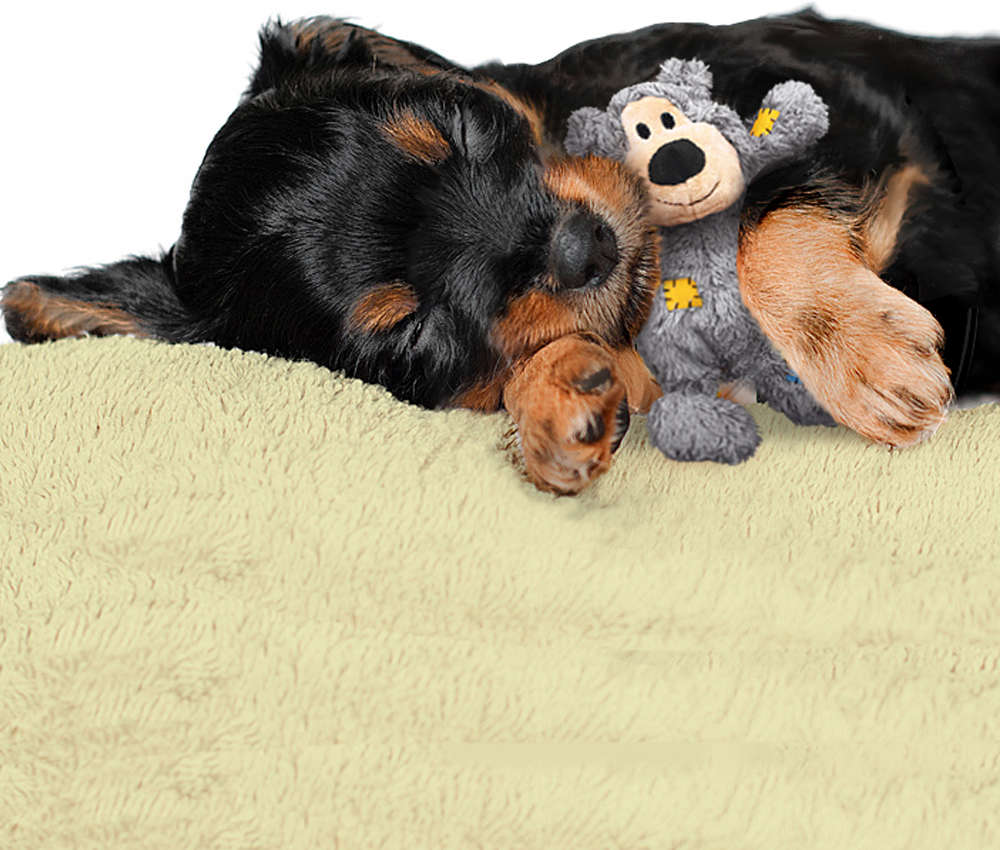 Brinquedo KONG Wild Knots Bear Marrom para Cães - Tam. M