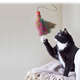 	Brinquedo Interativo Kong Wubba Boa Teaser para Gatos - Lilás