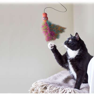 	Brinquedo Interativo Kong Wubba Boa Teaser para Gatos - Lilás