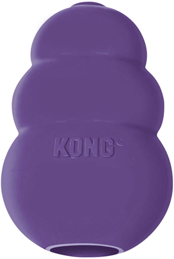 Brinquedo Interativo KONG Sênior KN3 - Tam. P