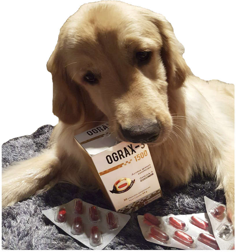 Suplemento Avert Ograx-3 1500 para Cães - 30 Cápsulas