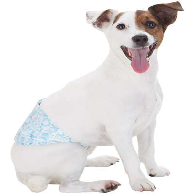 Fralda Higiênica Dog's Care Ecofralda Gel para Macho - 12 Unidades