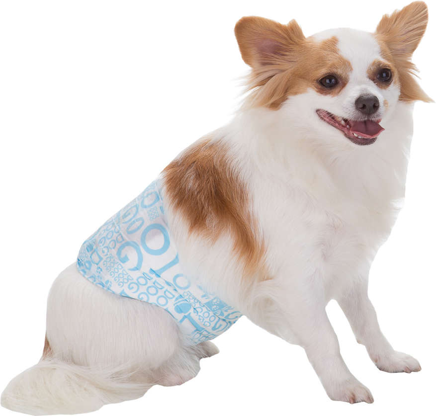 Faixa Absorvente Dog's Care Ecofralda Gel para Macho com 12 Unidades - Tam. M