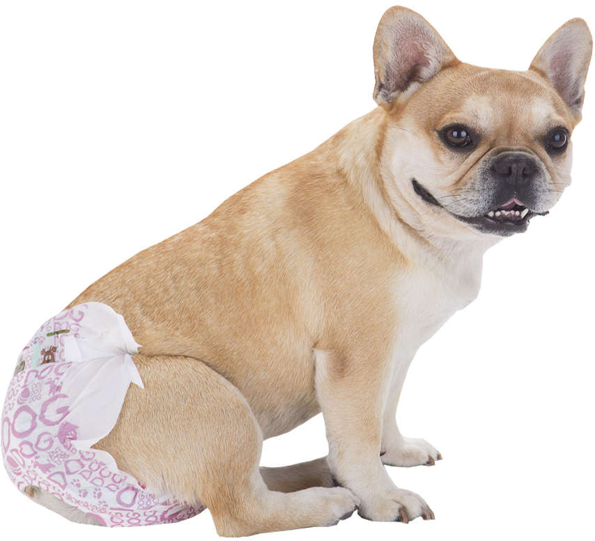 Fralda Higiênica Dog's Care Ecofralda Gel para Fêmeas com 12 Unidades - Tam. G