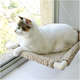 Cama Gatton Catbed Carneirinho