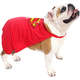 Fantasia Sula Pet Capa Super Homem