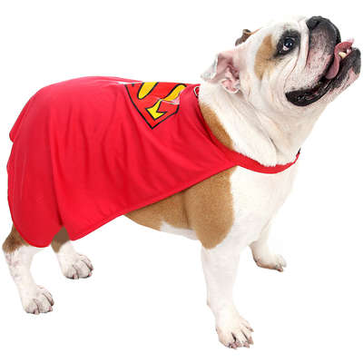 Fantasia Sula Pet Capa Super Homem
