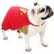 Fantasia Sula Pet Capa Super Homem