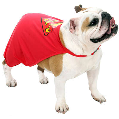 Fantasia Sula Pet Capa Super Homem