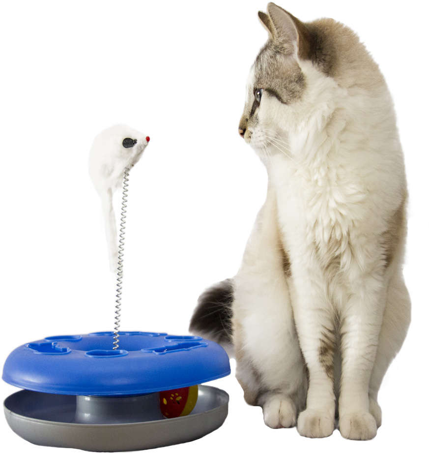 Brinquedo Chalesco Kitty Ball Cores Variadas - Tam. Único