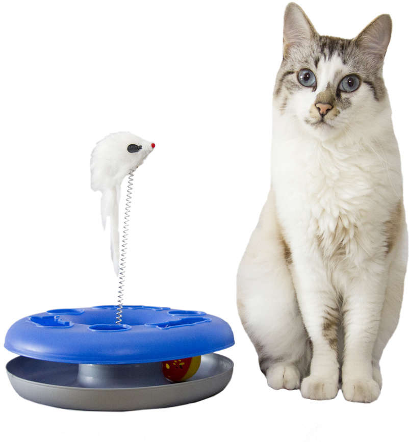Brinquedo Chalesco Kitty Ball Cores Variadas - Tam. Único