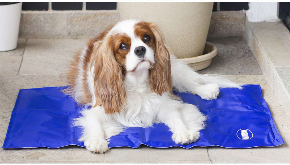 Tapete Gelado Chalesco Pet Cooling Mat - Tam. G