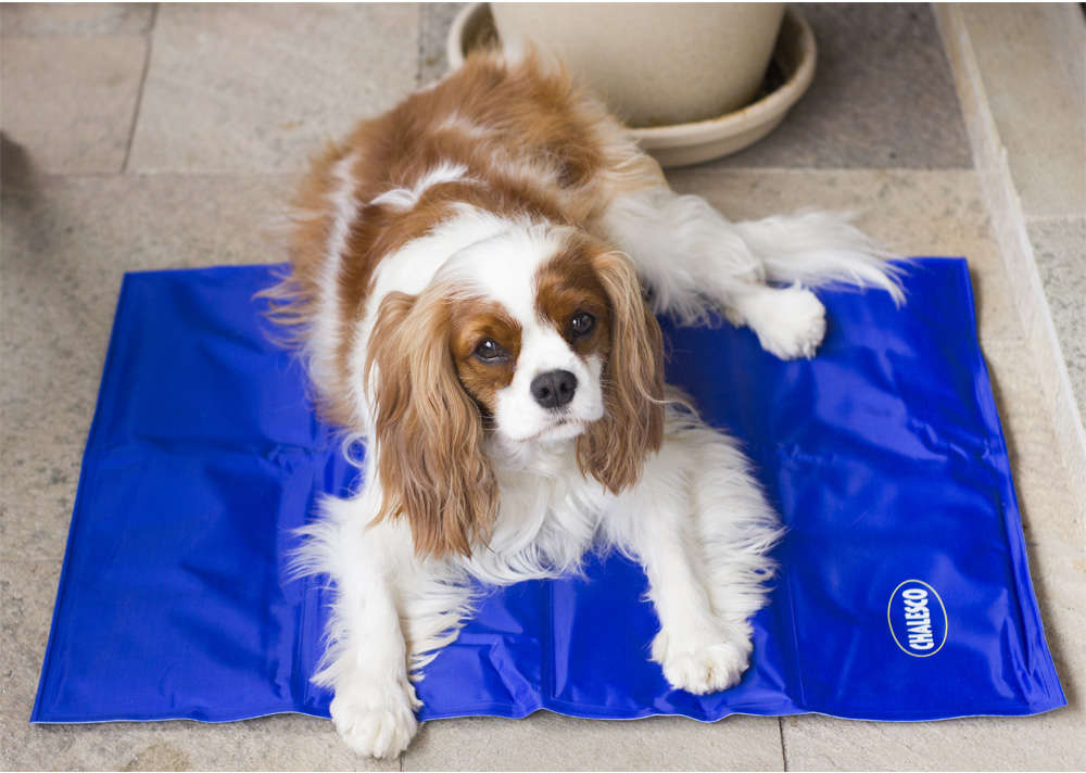 Tapete Gelado Chalesco Pet Cooling Mat - Tam. G