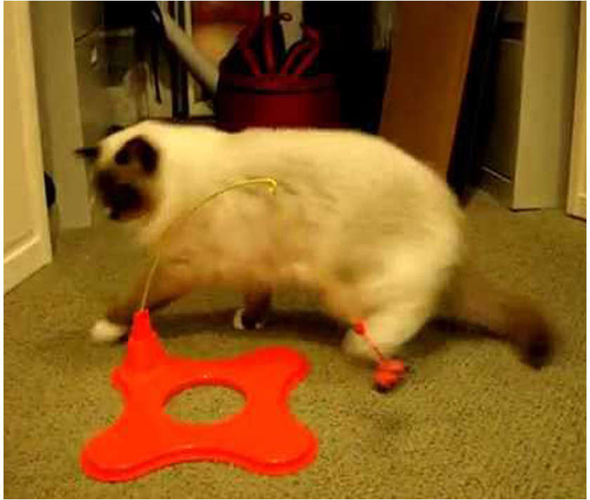 Brinquedo JW Cat Magneticat Vermelho - Tam. Único