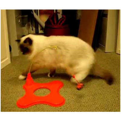 Brinquedo JW Cat Magneticat