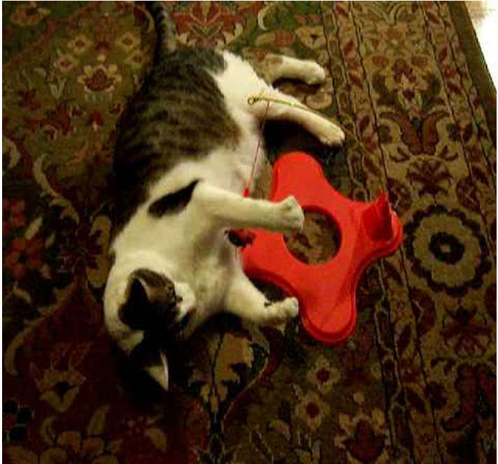 Brinquedo JW Cat Magneticat Vermelho - Tam. Único