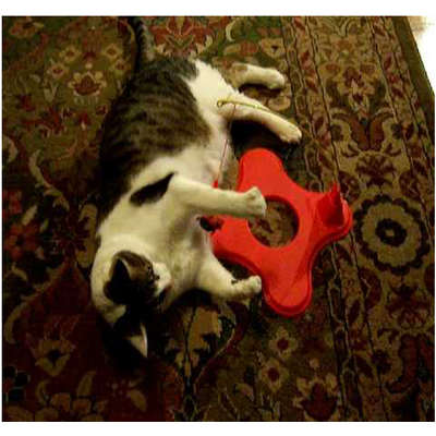 Brinquedo JW Cat Magneticat