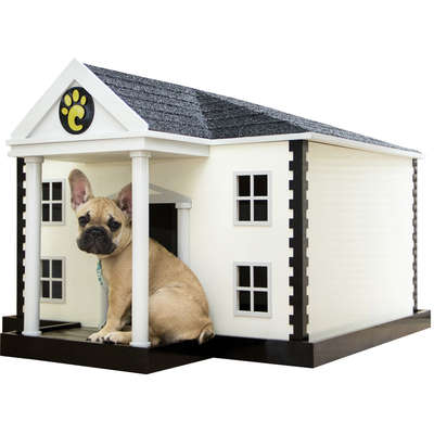Casa Carlu Pet House White House