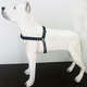 Peitoral K-9 Spirit de Treinamento Preto