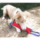 Brinquedo K-9 Spirit Caça Filhote Cores Sortidas