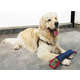 Brinquedo K-9 Spirit Caça Filhote Cores Sortidas