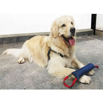 Brinquedo K-9 Spirit Caça Filhote Cores Sortidas