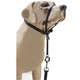Coleira K-9 Spirit Cabresto Preta
