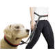 Guia K-9 Spirit Jogging Preta