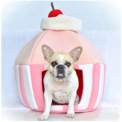 Cama Woof Pet Cupcake Incantare Rosa