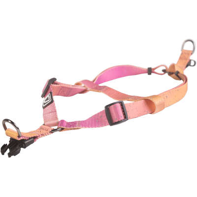 Peitoral Bellbold Aurora para Cachorro