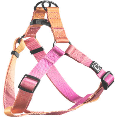 Peitoral Bellbold Aurora para Cachorro