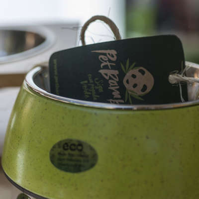 Bebedouro e Comedouro PetBamboo Verde de Fibra de Bambu e Inox