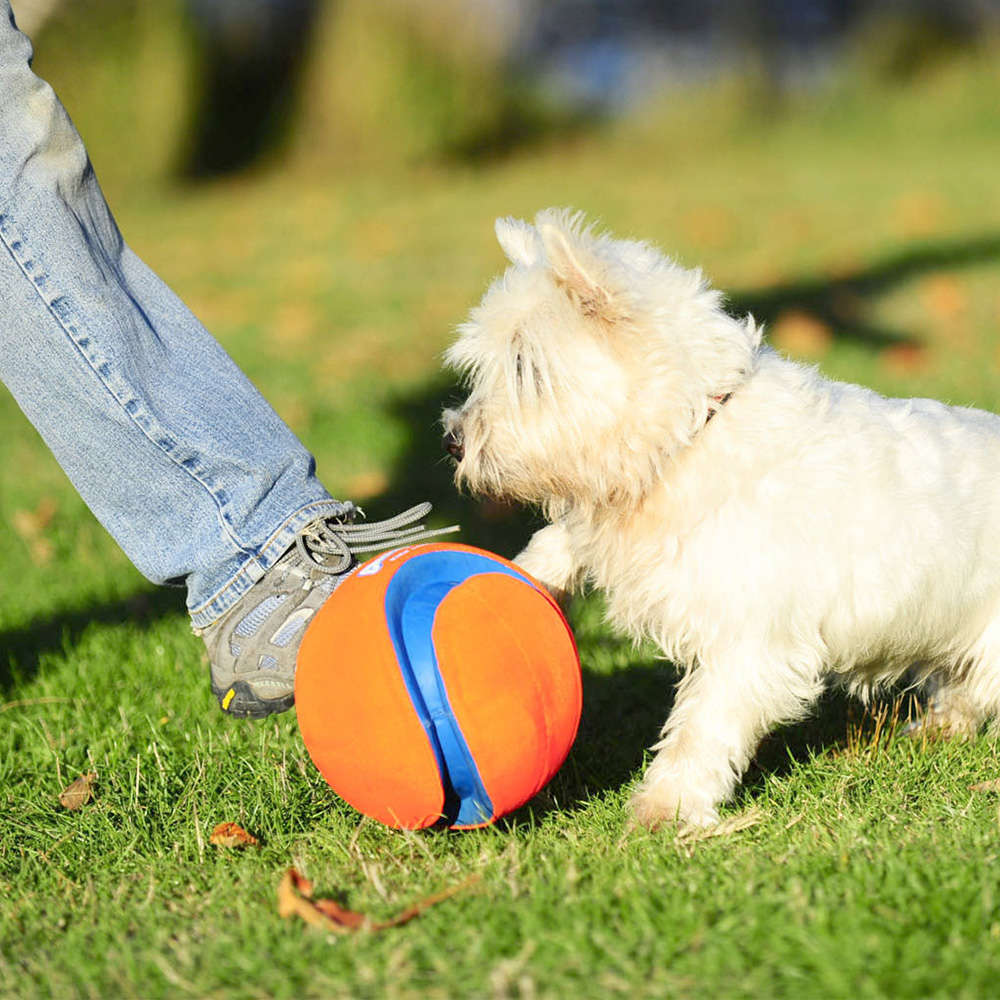 Brinquedo Chuckit Bola Kick Fetch - Tam. G