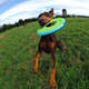 Brinquedo Chuckit Disco Zipflight Verde