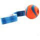 Brinquedo Chuckit Ultra Tug